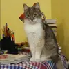 Отзыв от Виктория Корнева